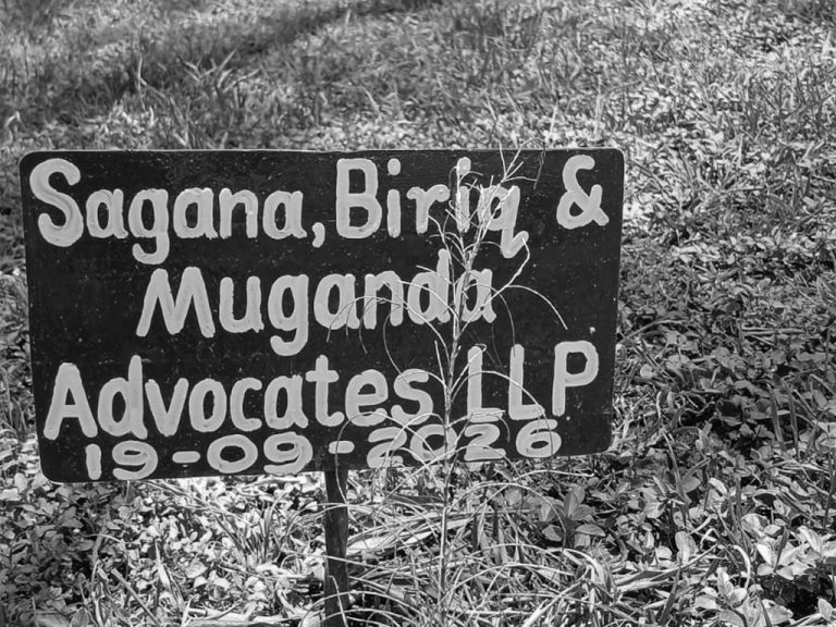 csr-tree-planting-2